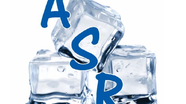 14-32-Q17-ASR_Logo_Small