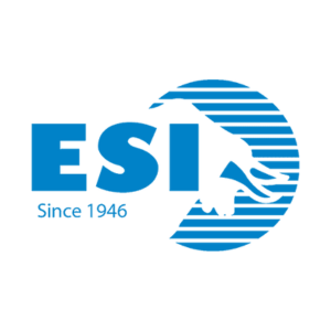 Eichenauer Services Inc